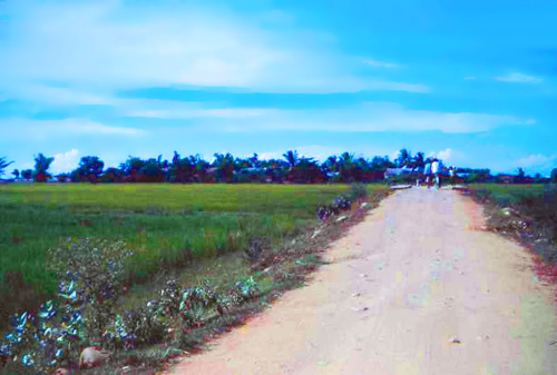 5. Phan Rang Area. Photo by: SSgt John Achelpohl. 1966.