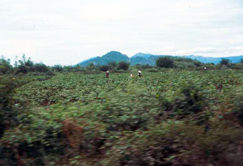 23. Phan Rang Area. SVN MAP, by: SSgt John Achelpohl. 1966.