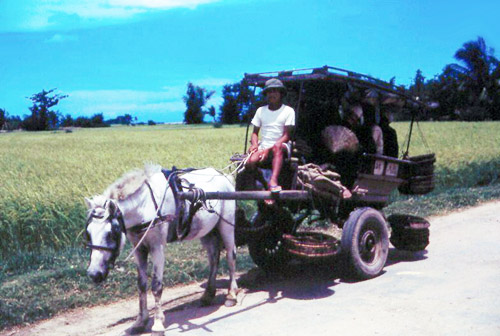 21. Phan Rang Area. Area Photo by: SSgt John Achelpohl. 1966.