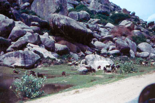 20. Phan Rang Area. Photo by: SSgt John Achelpohl. 1966.