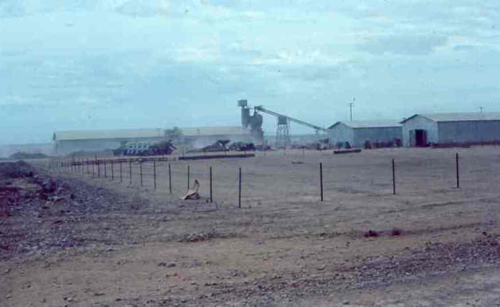 9. Phan Rang Convoy, Gravel and Cemet processing. Photo by: SSgt John Achelpohl. 1966.