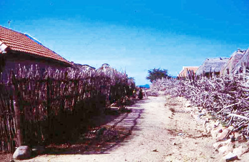 7. Phan Rang MED Call. Photo by: SSgt John Achelpohl. 1966.