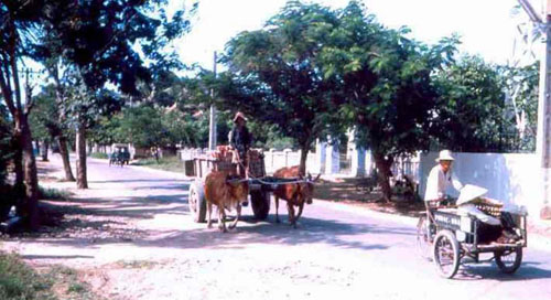 12. Phan Rang MP Station. Photo by: SSgt John Achelpohl. 1966.