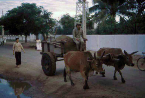 23. Phan Rang MP Station. Photo by: SSgt John Achelpohl. 1966.