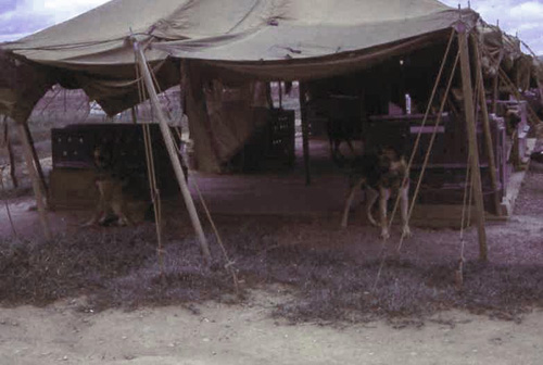 2. Phan Rang SPS Barracks. K-9 kennels, early 1966. Photo by: SSgt John Achelpohl. 1966.