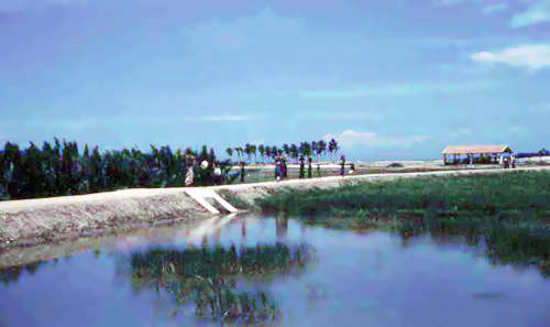 2. Phan Rang Seaside. Photo by: SSgt John Achelpohl. 1966.